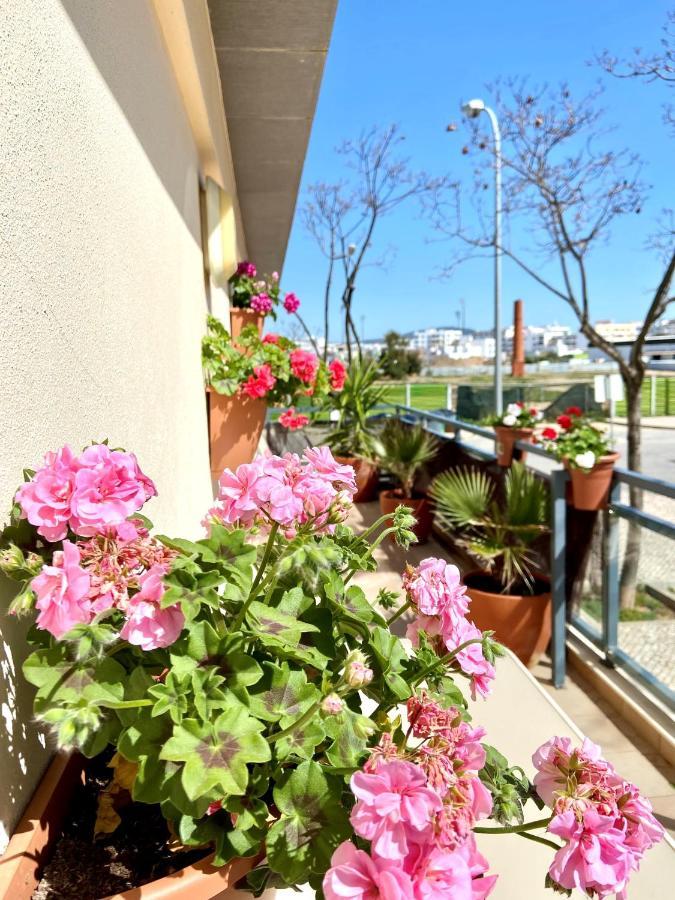 Zenit Luxury Marina Village Appartement โอลเญา ภายนอก รูปภาพ